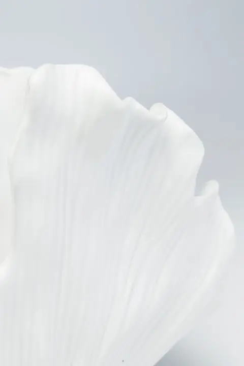 KARE Vase Gingo Elegance 45cm 51093