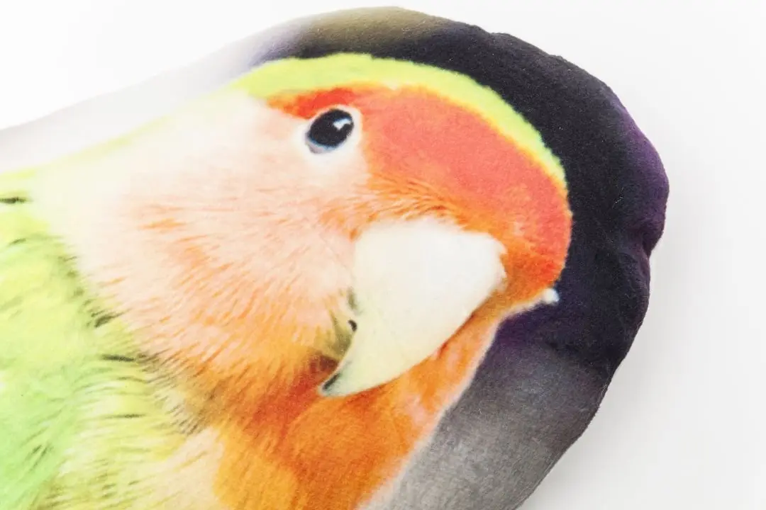 KARE Kissen Shape Parrot 25x47cm 60420