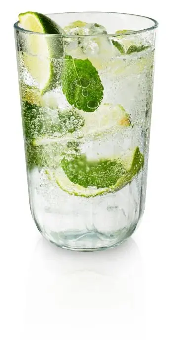 Eva Solo Gläser, 4 Stück 567435