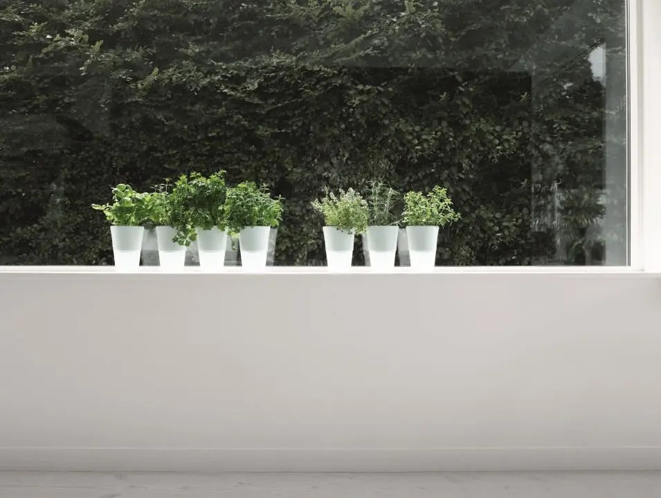 Eva Solo Kräutertopf 568115