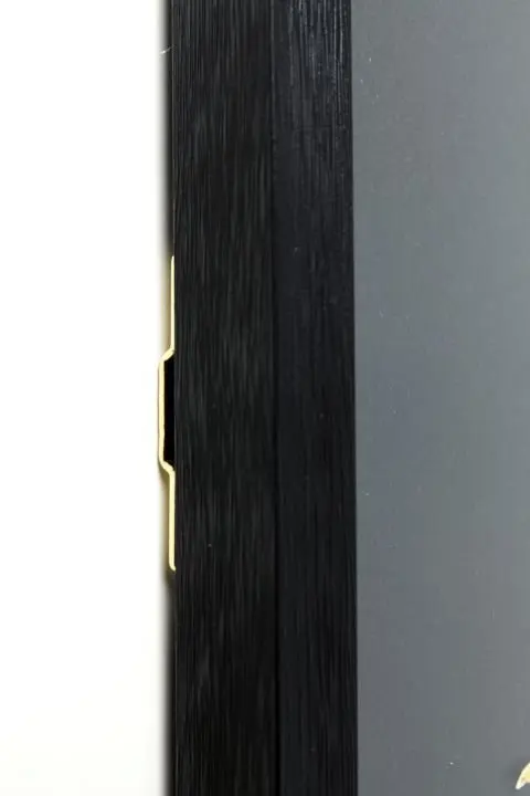 KARE Bild Frame Art Betta Fish 65538