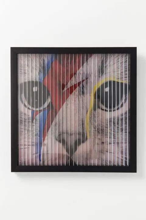 KARE Bild Frame Art 3D Idol Cat 60878