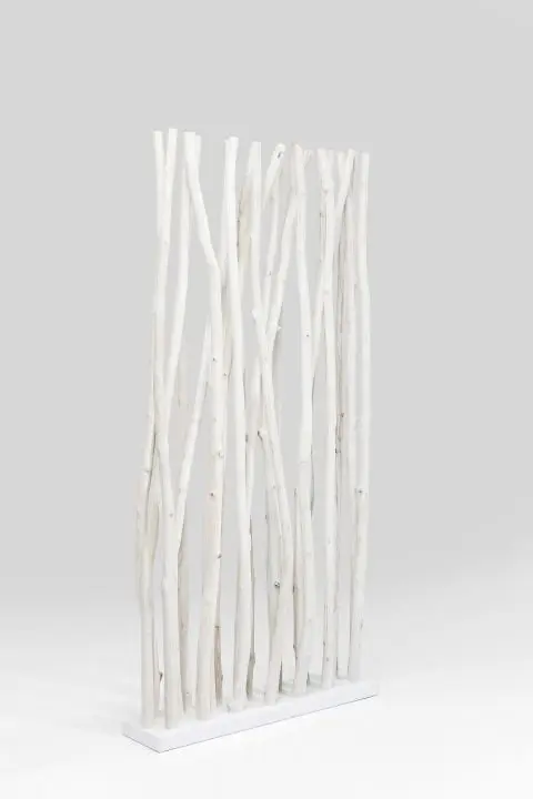 KARE Paravent Roots 82403