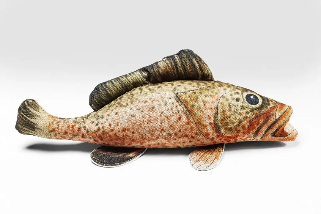 KARE Kissen Shape Fish Dots 61593