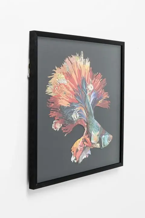 KARE Bild Frame Art Betta Fish 65538