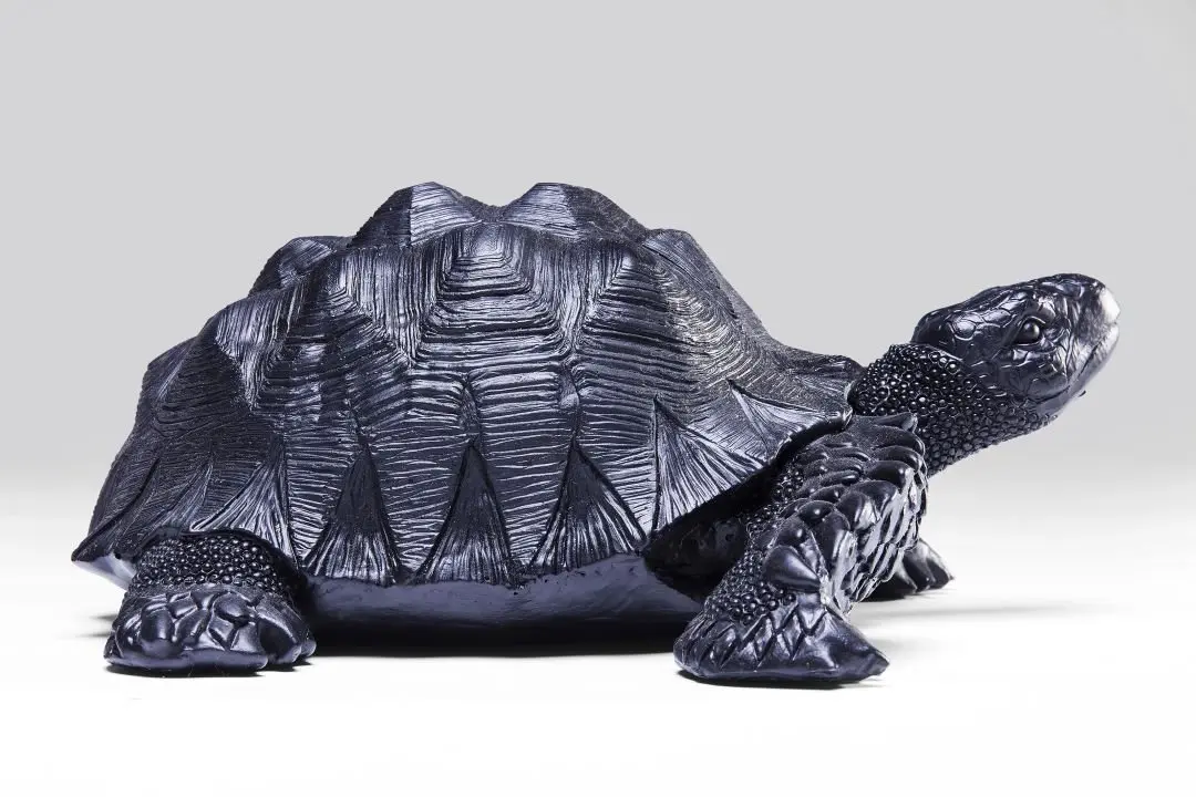 KARE Deko Figur Turtle Schwarz 60750