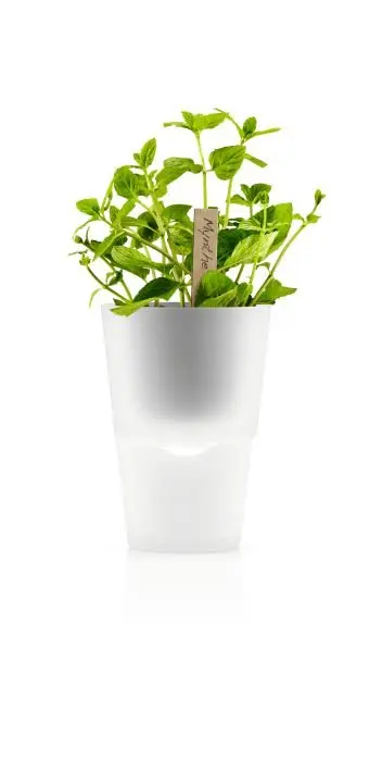 Eva Solo Kräutertopf 568115