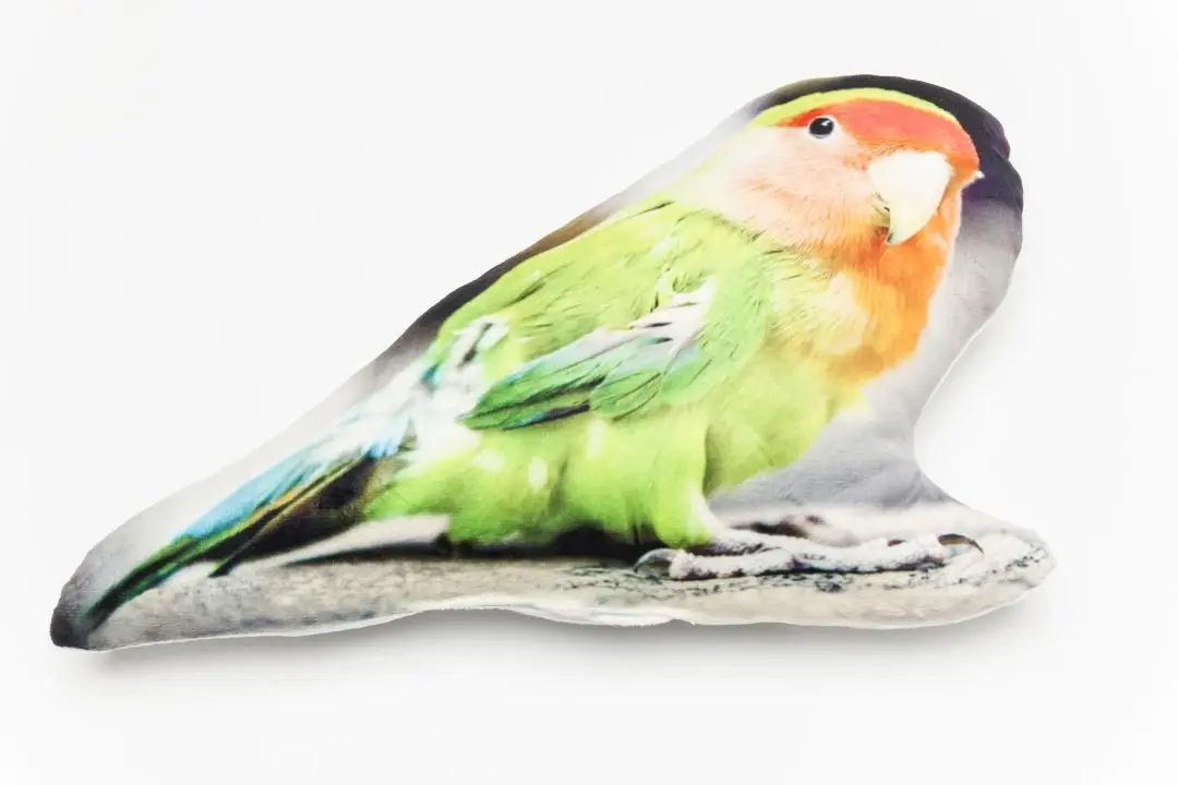 KARE Kissen Shape Parrot 25x47cm 60420