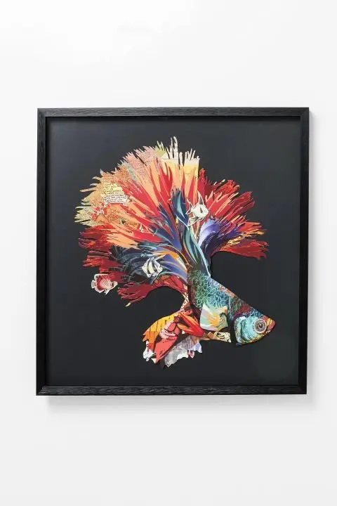 KARE Bild Frame Art Betta Fish 65538