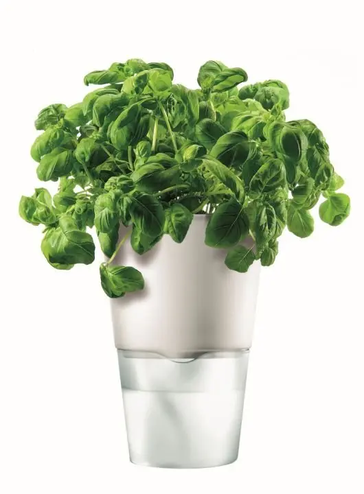 Eva Solo Kräutertopf, Selbstbewässernd Chalk White