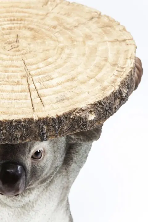 KARE Beistelltisch Animal Koala 79749