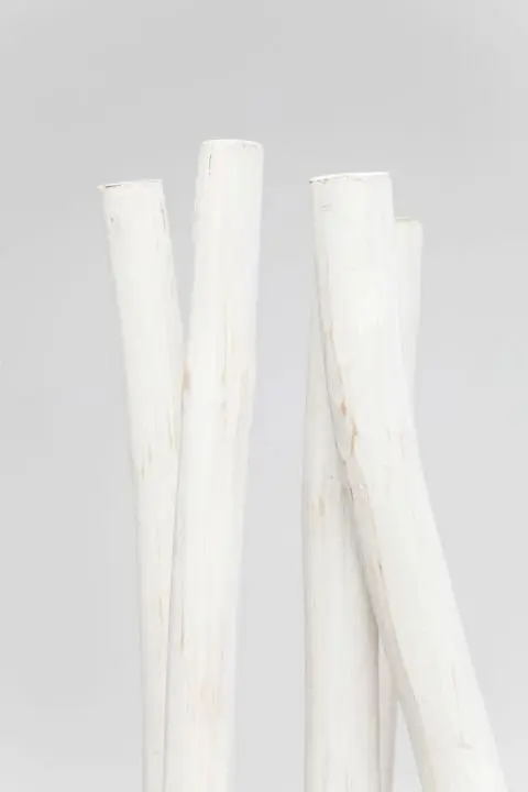 KARE Paravent Roots 82403