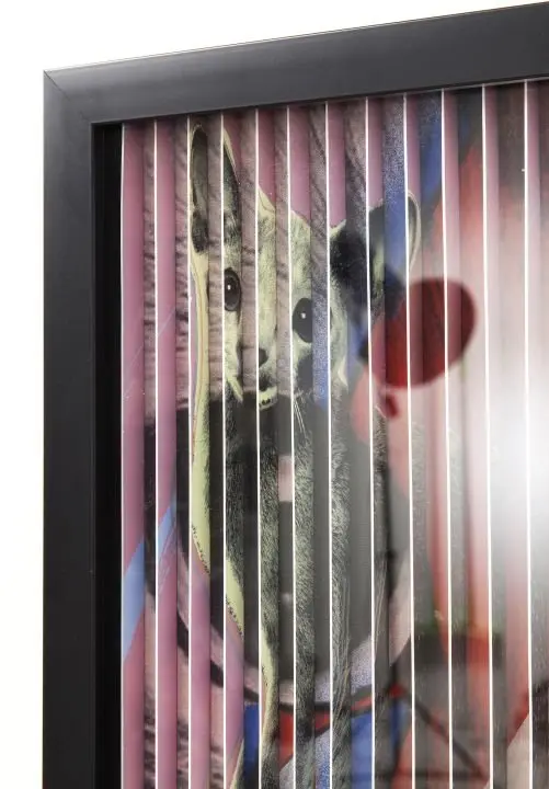 KARE Bild Frame Art 3D Idol Cat 60878