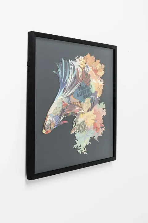 KARE Bild Frame Art Betta Fish 65536