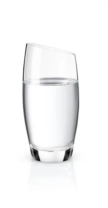 Eva Solo Wasserglas 541015